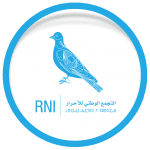 حسن  قلل